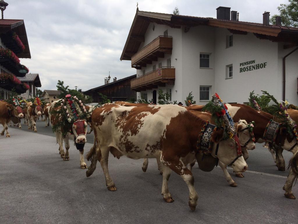 Pension Rosenhof Brixen im Thale Dış mekan fotoğraf